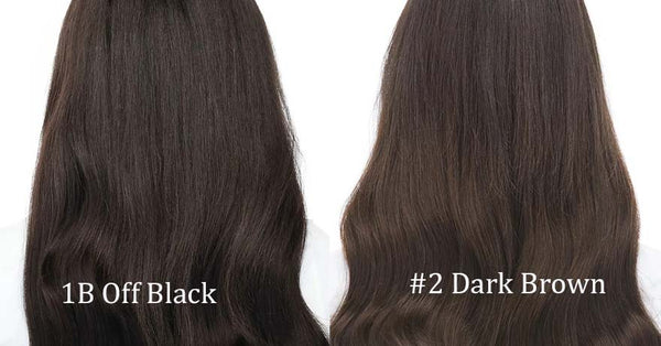 1b hair color vs. 2 hair color